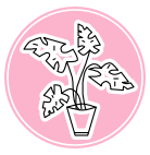 Hurtownia RARADEKO - kwiaty sztuczne, znicze, akcesoria florystyczne, balony